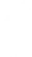 Urlaub Palme